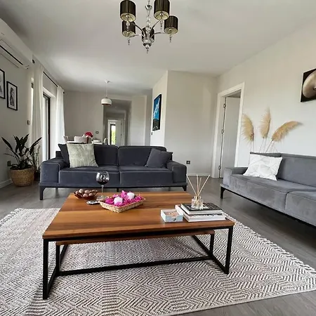Luxurious In Apartment *